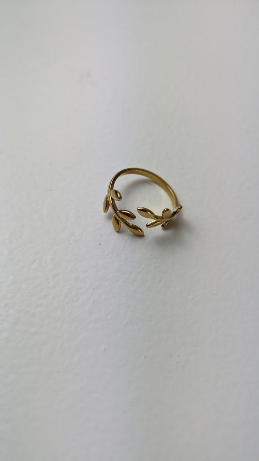 ANILLO CESAR