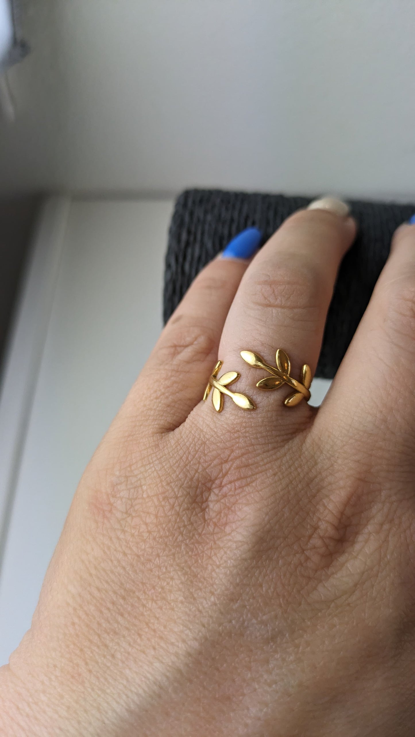 ANILLO CESAR