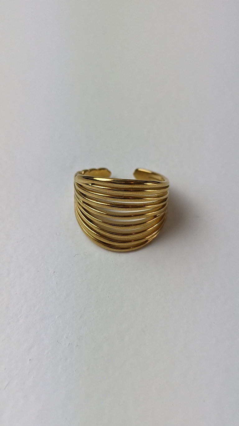 ANILLO HAMS